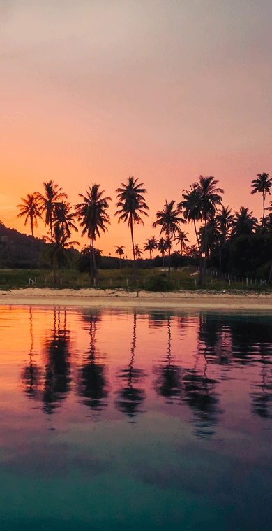 Ceylon Rental And Tours